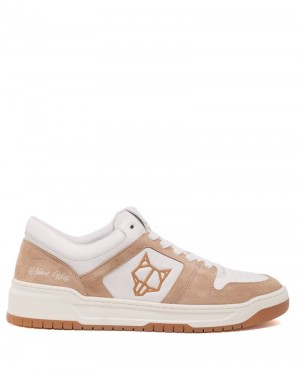 Men's Naked Wolfe CM-01 Leather Sneakers Grey Brown | PHILIPPINES HCAPOSD51