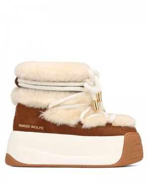 Women's Naked Wolfe Darling Cow Suede Platform Boots Brown | PHILIPPINES WCIKHSD87