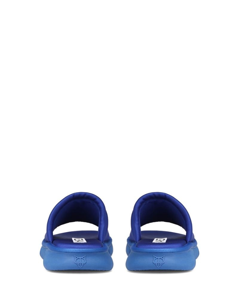 Men's Naked Wolfe Arizona Royal Slides Blue | PHILIPPINES UZBGPFD94
